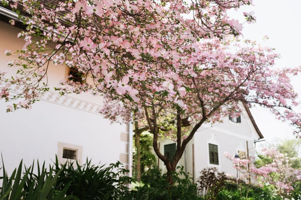 Property building, Garden