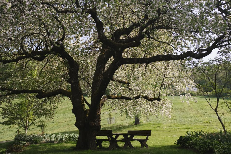 Garden, Garden view