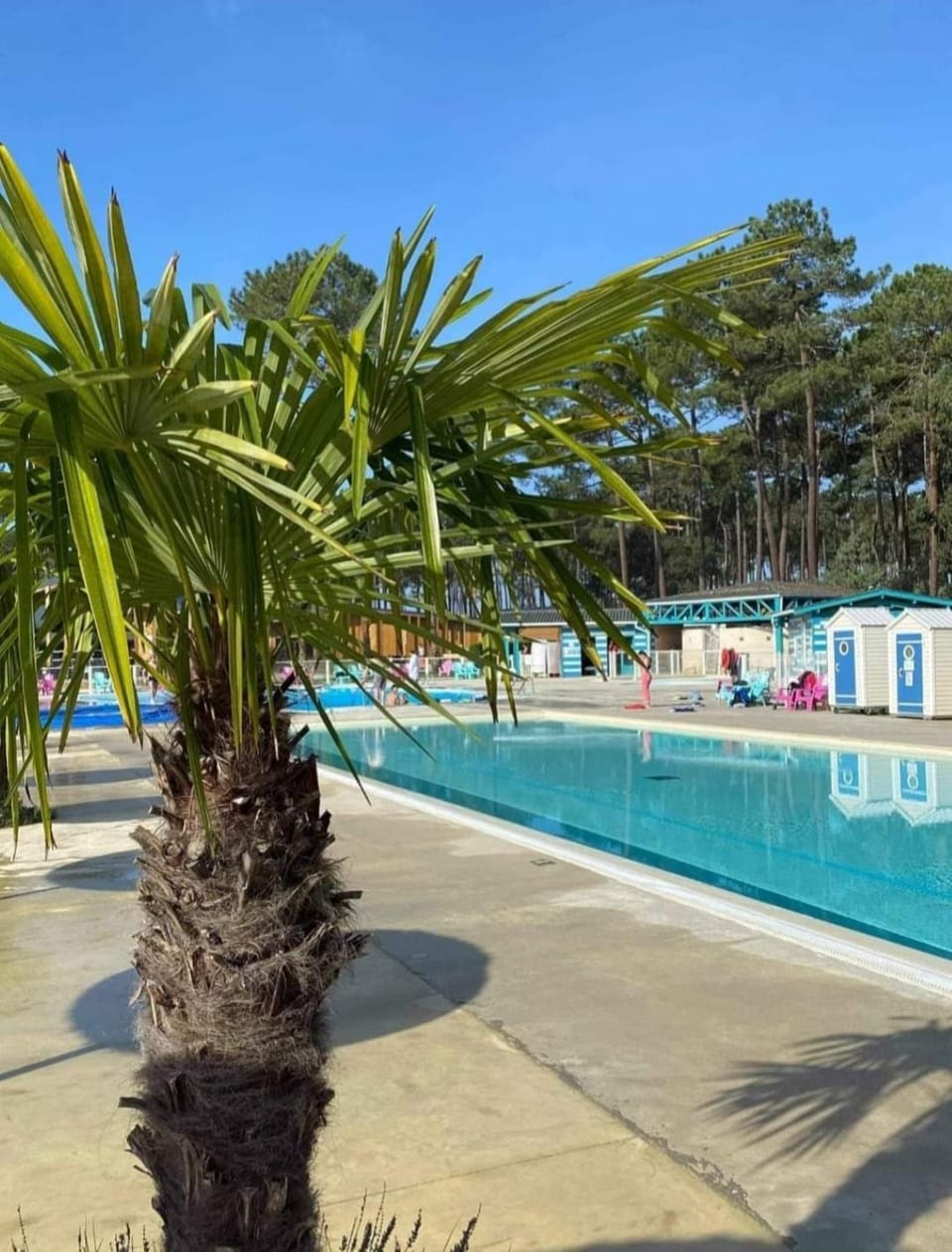 Swimming pool