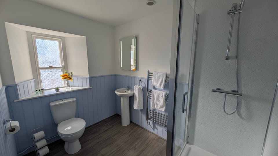Shower, Toilet, Bathroom, towels