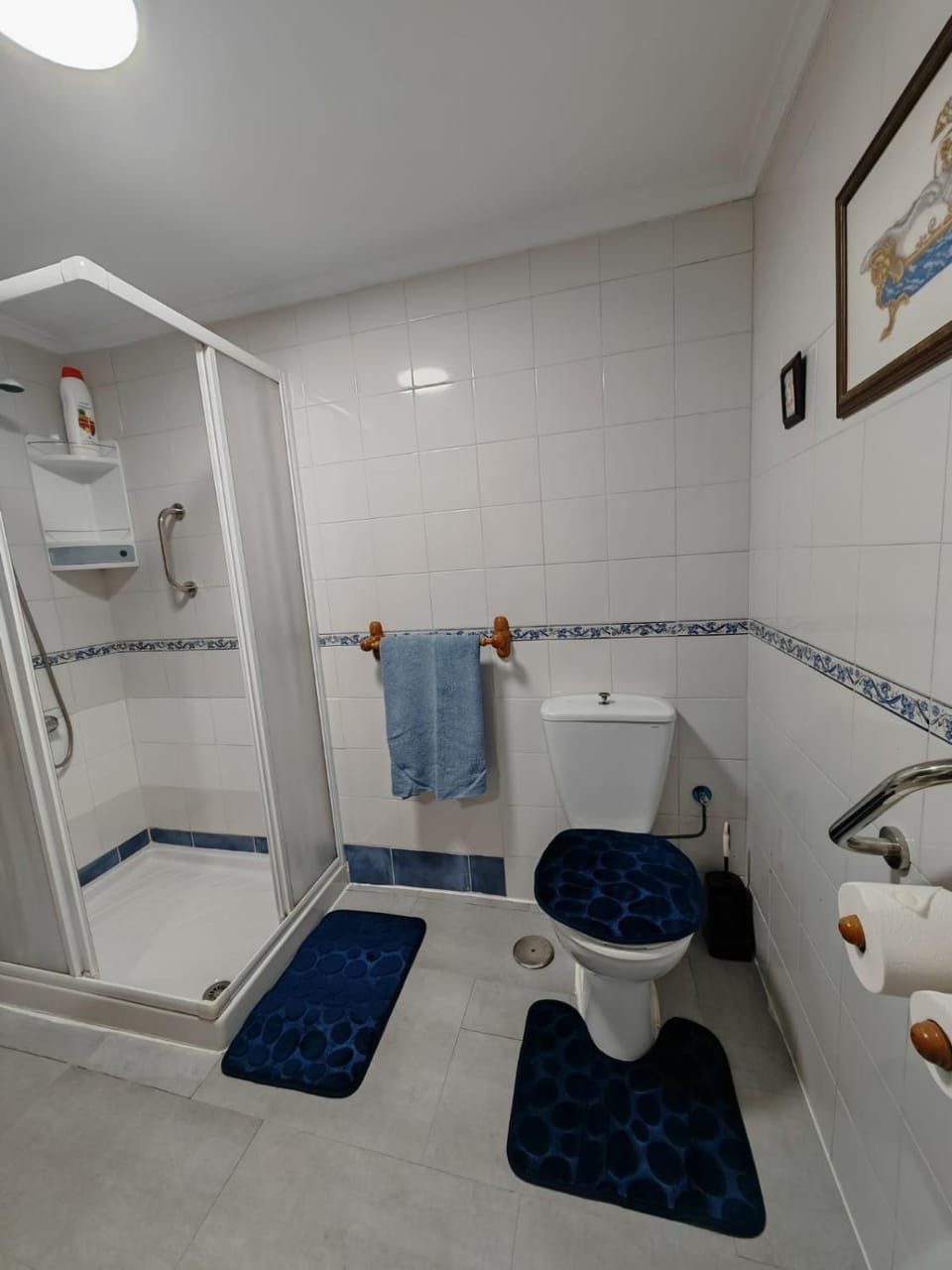 Shower, Toilet, Bathroom, towels