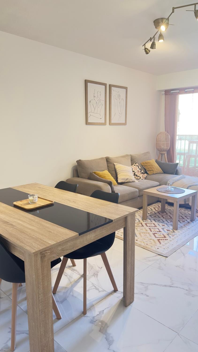 Charming and spacious two-room apartment with terrace Apartment in Nice
