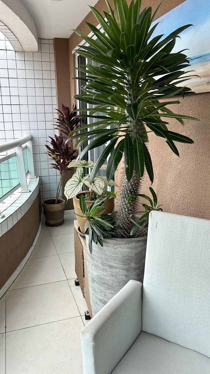 studio de iracema Apartment in Fortaleza