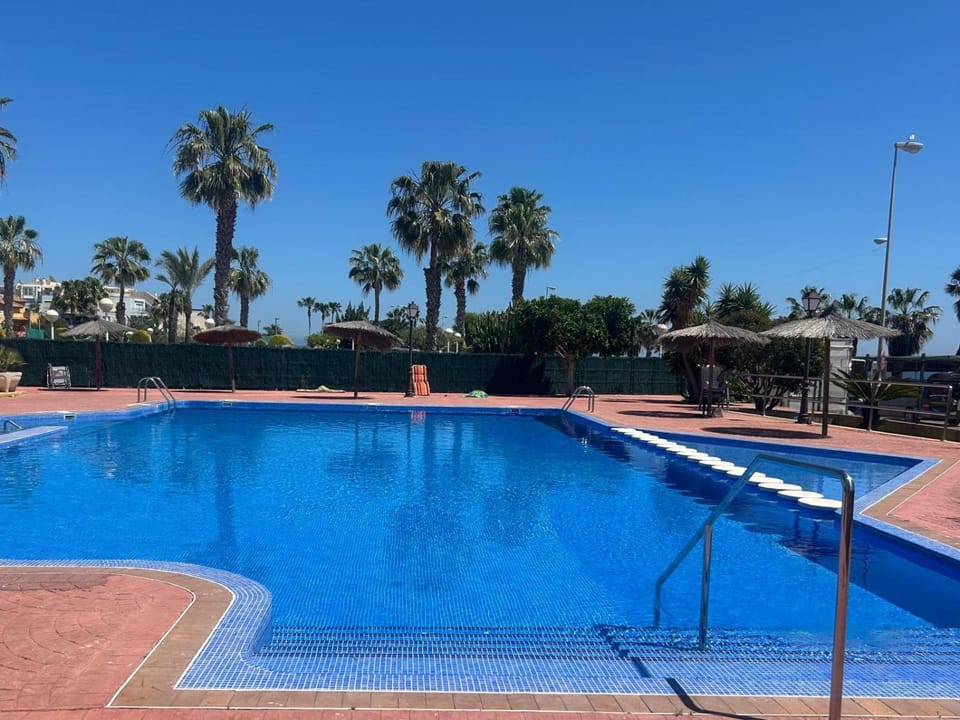 Day, Pool view, Swimming pool