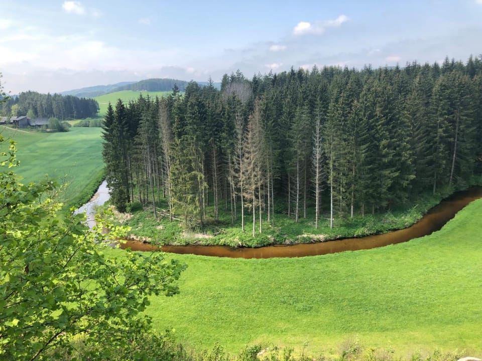 Natural landscape