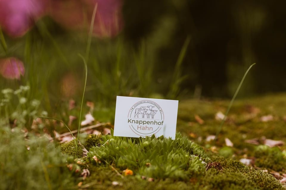 Logo/Certificate/Sign