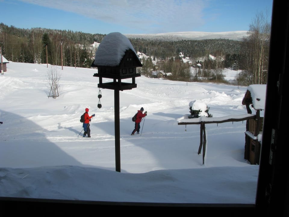 Skiing, Mountain view