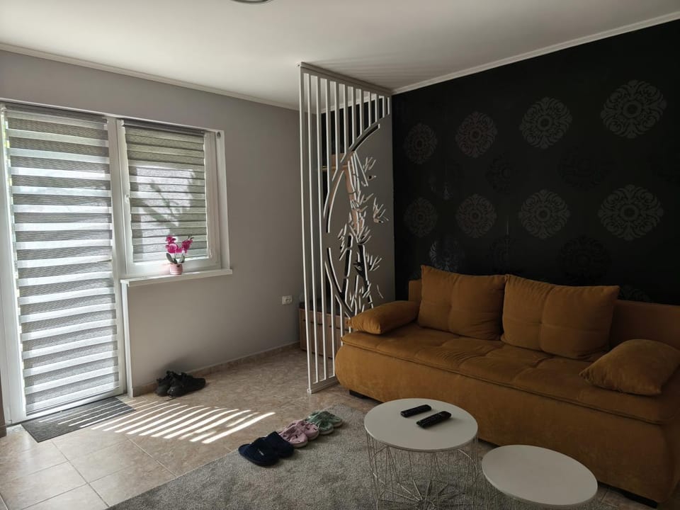 Silver Spa Apartment Apartment in Vojvodina