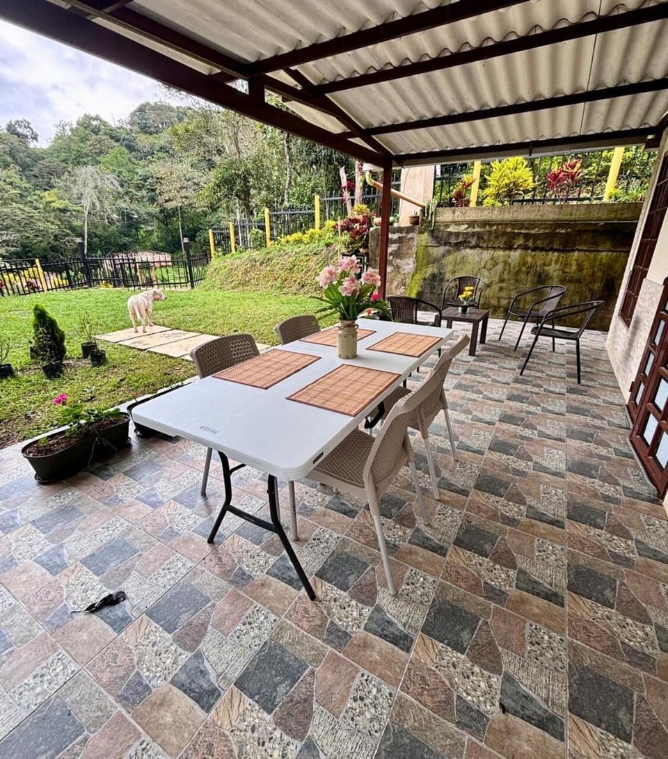 Patio, Garden, Garden, Balcony/Terrace