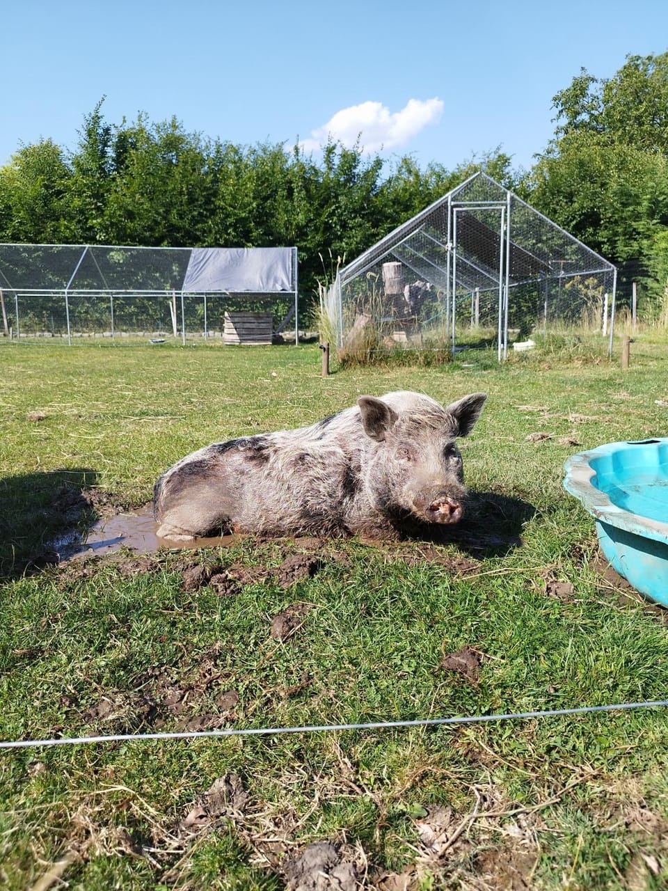 Magnolia House in Hauts-de-France