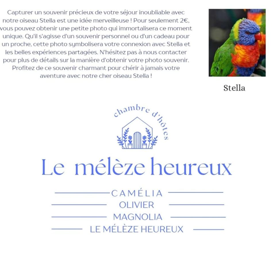 Magnolia House in Hauts-de-France