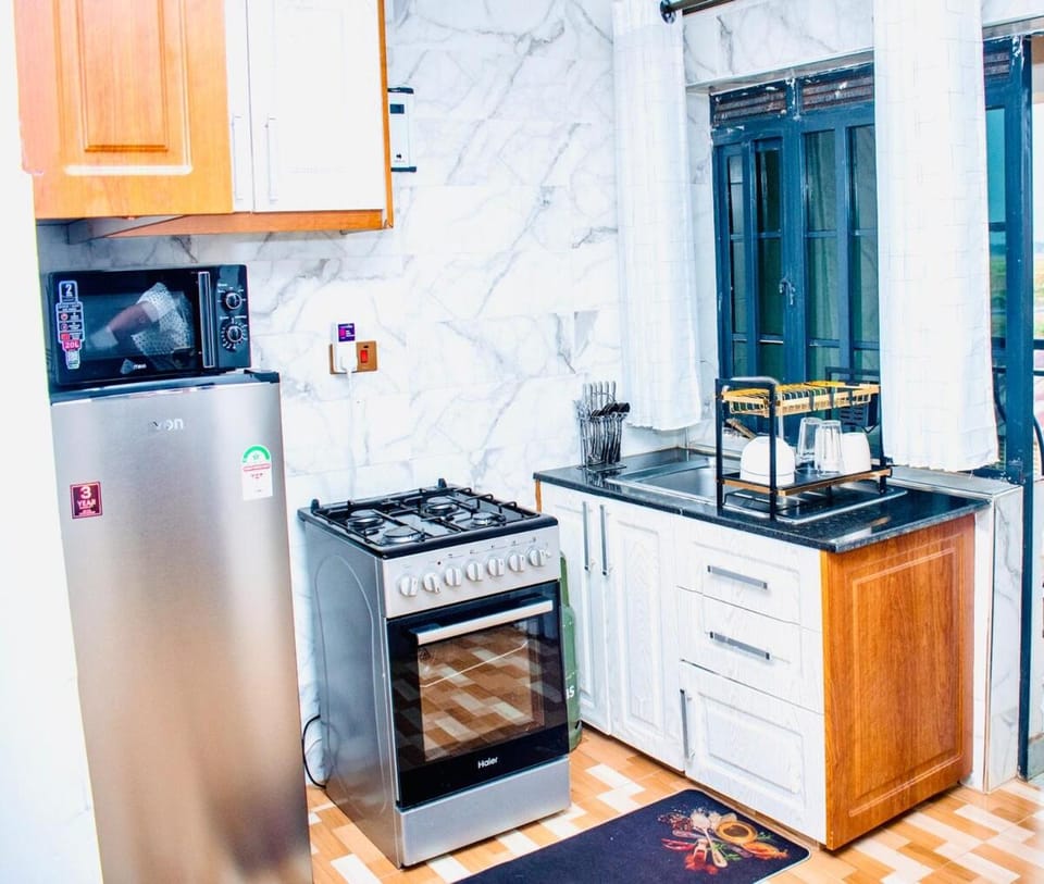 Kitchen or kitchenette, oven, stove