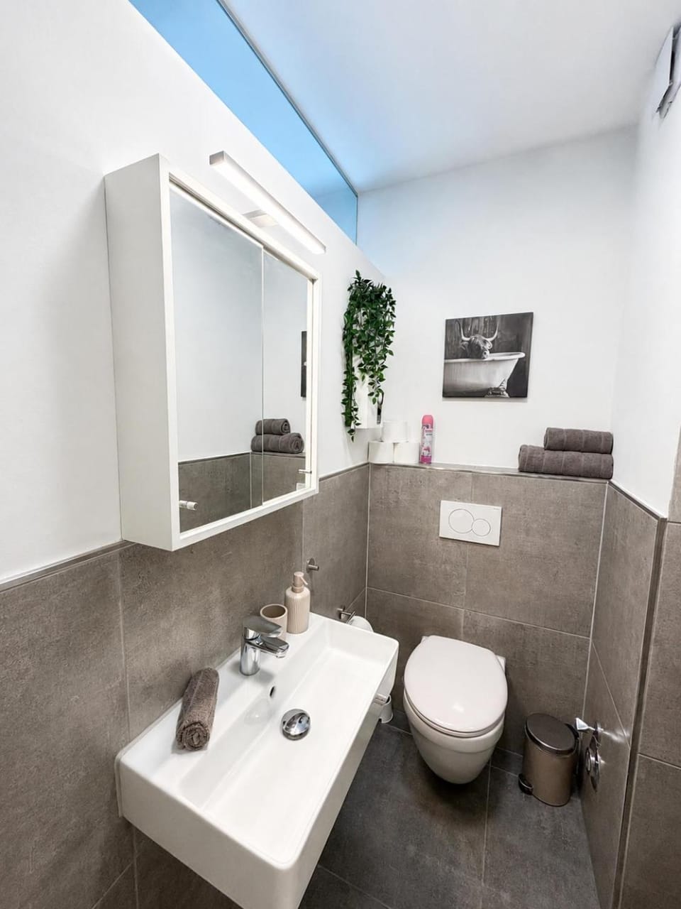 Toilet, Bathroom