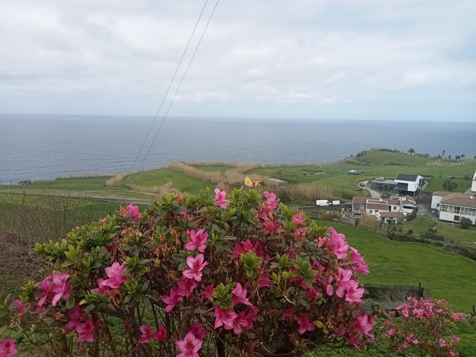 Basaltic House Pedreira Apartment in Azores District