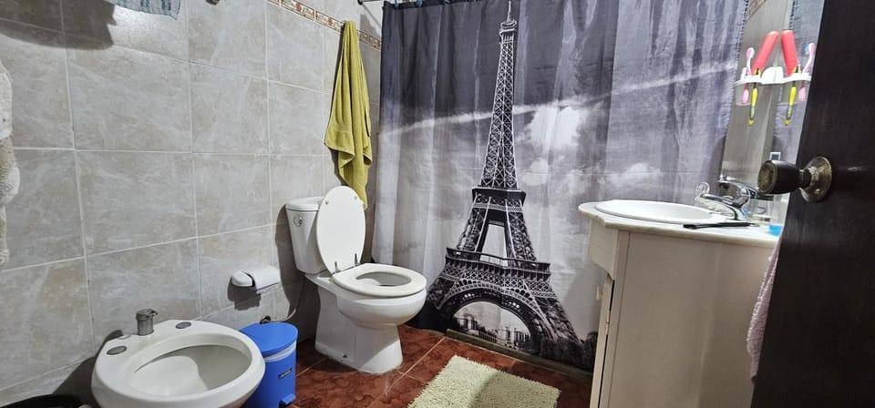Shower, Bathroom, bidet