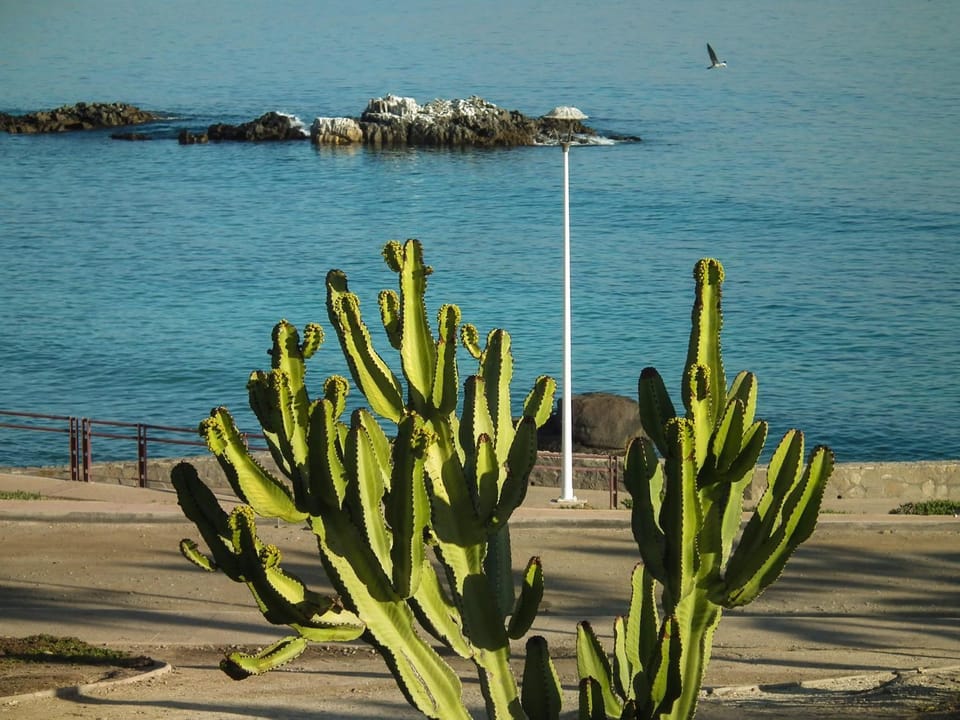 Sea view