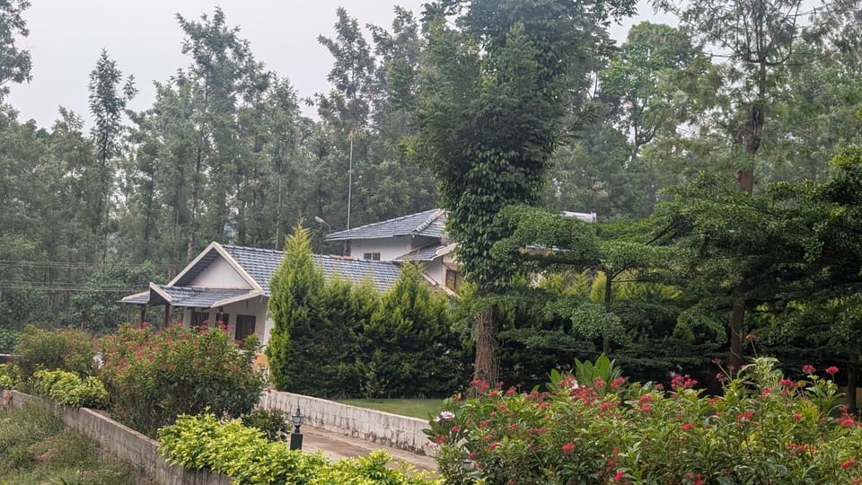 Garden view