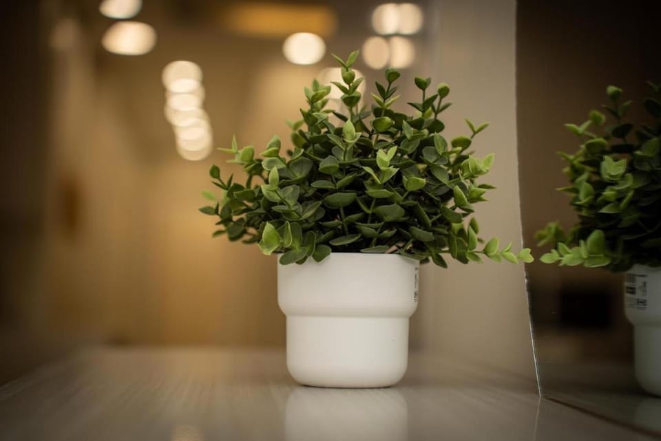 Cozy Escape Apartment in Al Khobar