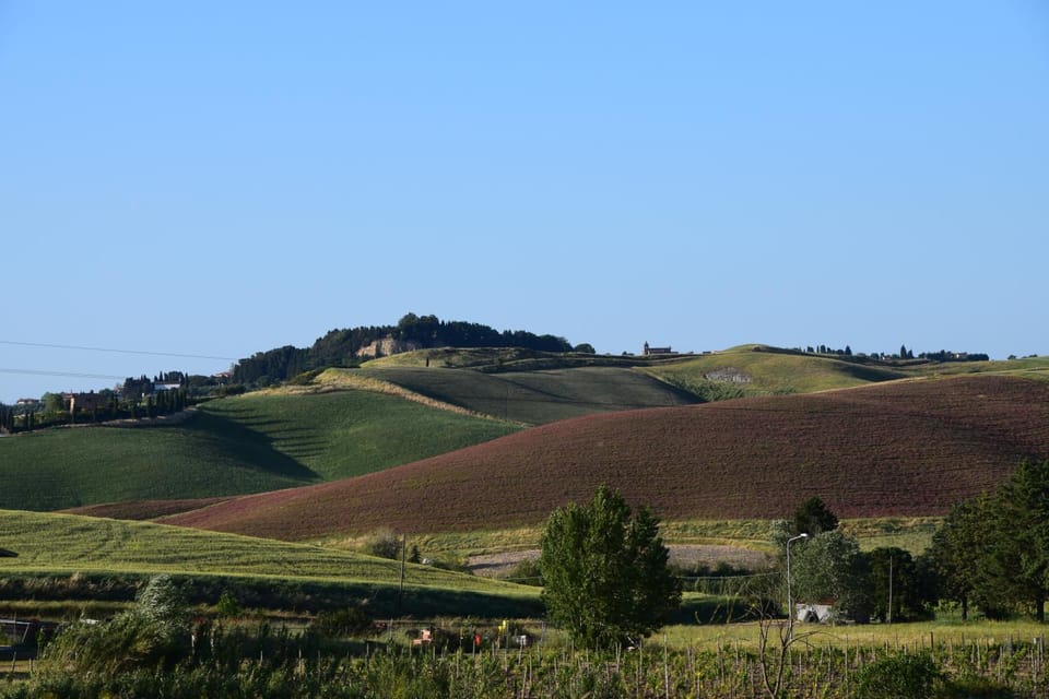 Natural landscape