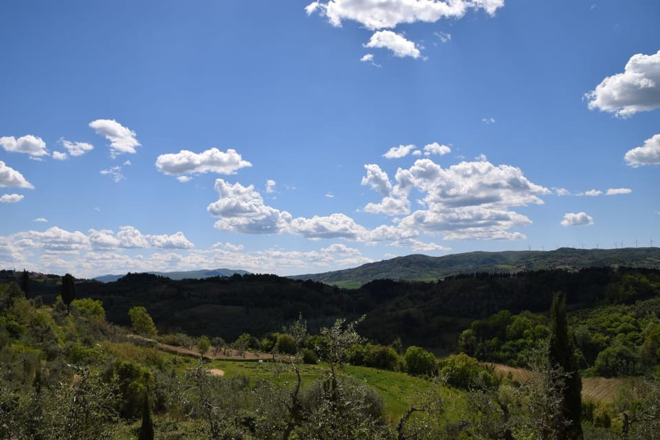Natural landscape