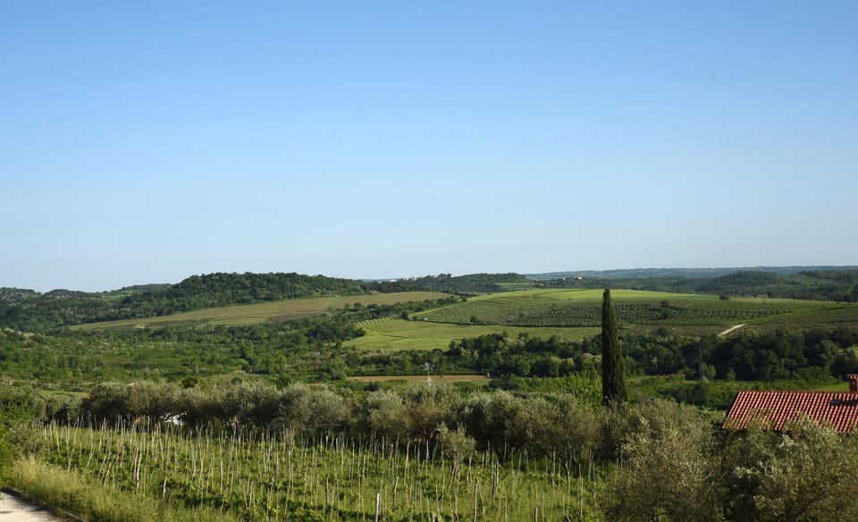 Natural landscape