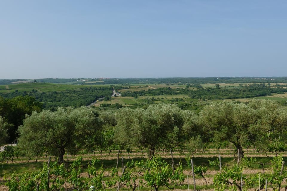 Natural landscape
