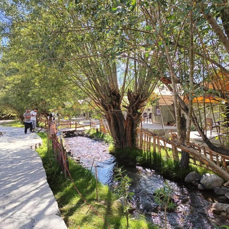 Spring, Day, Natural landscape, Garden, Garden view, River view