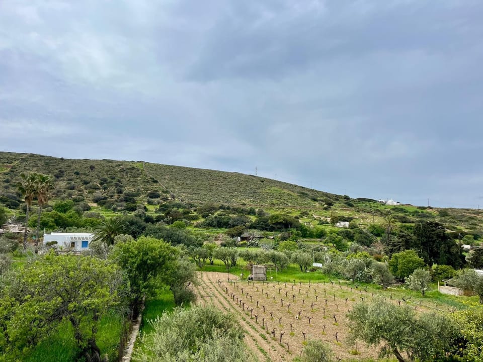 Natural landscape