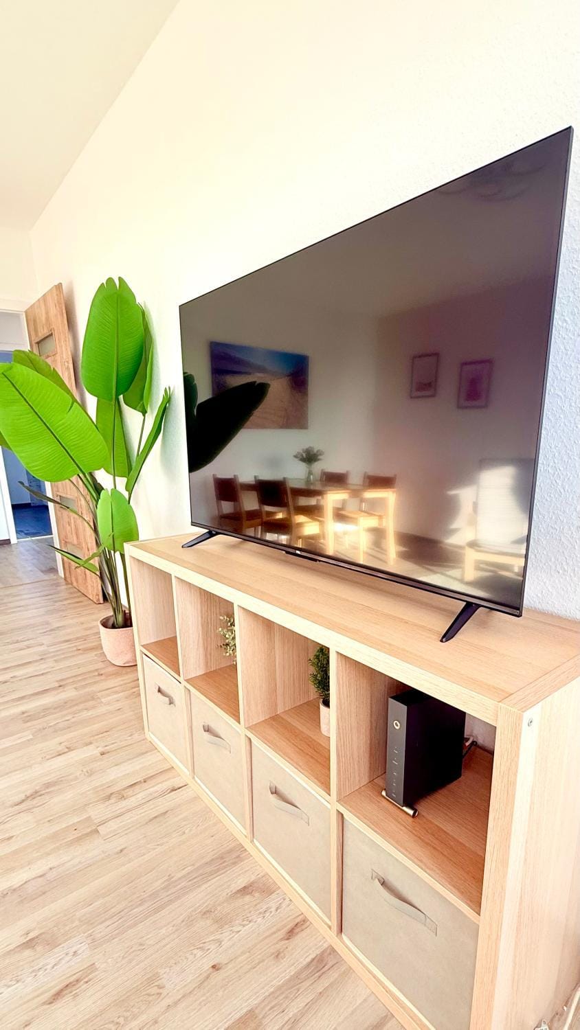 TV and multimedia