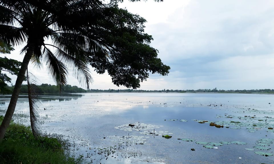 Natural landscape