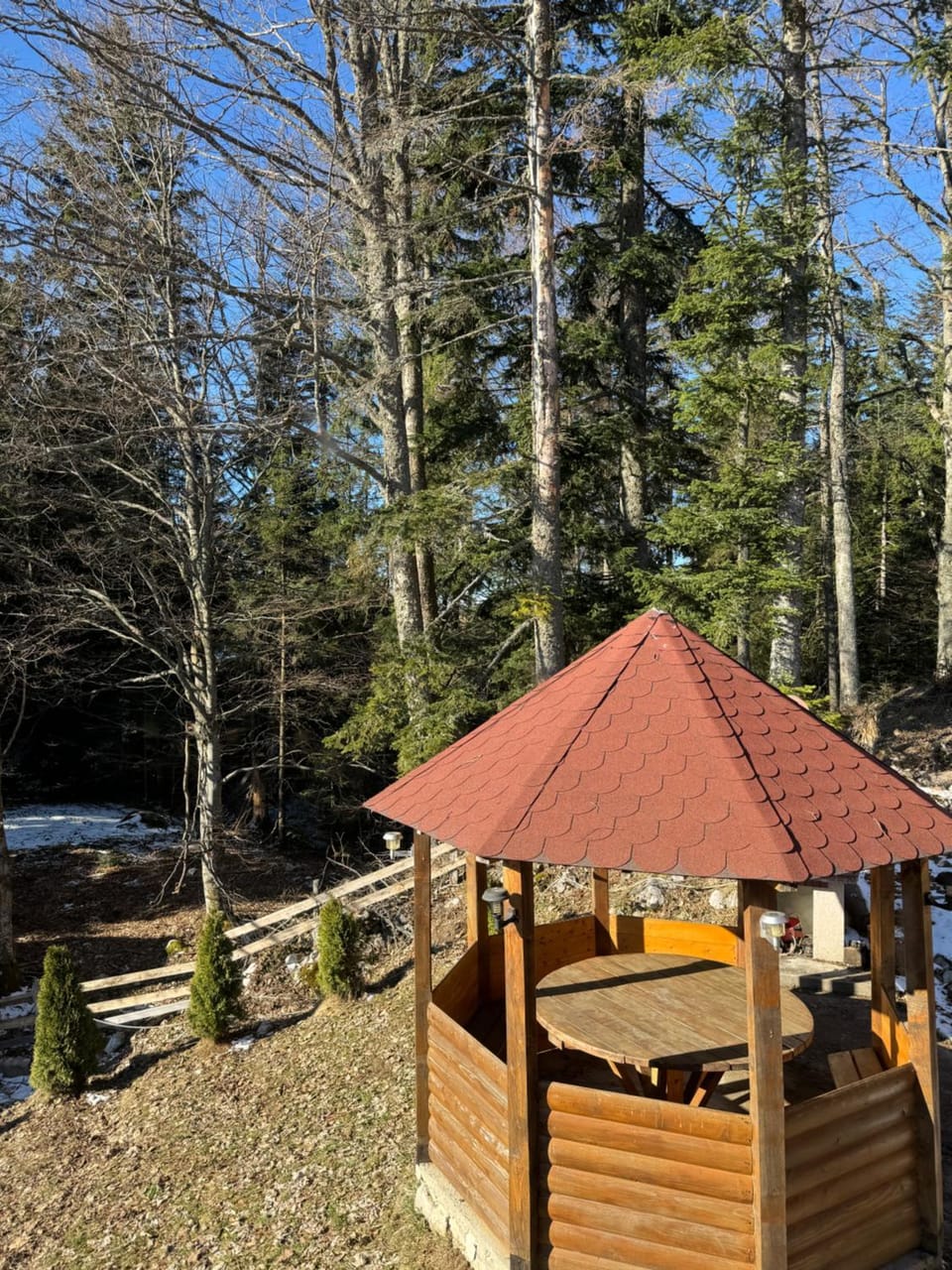 Garden view