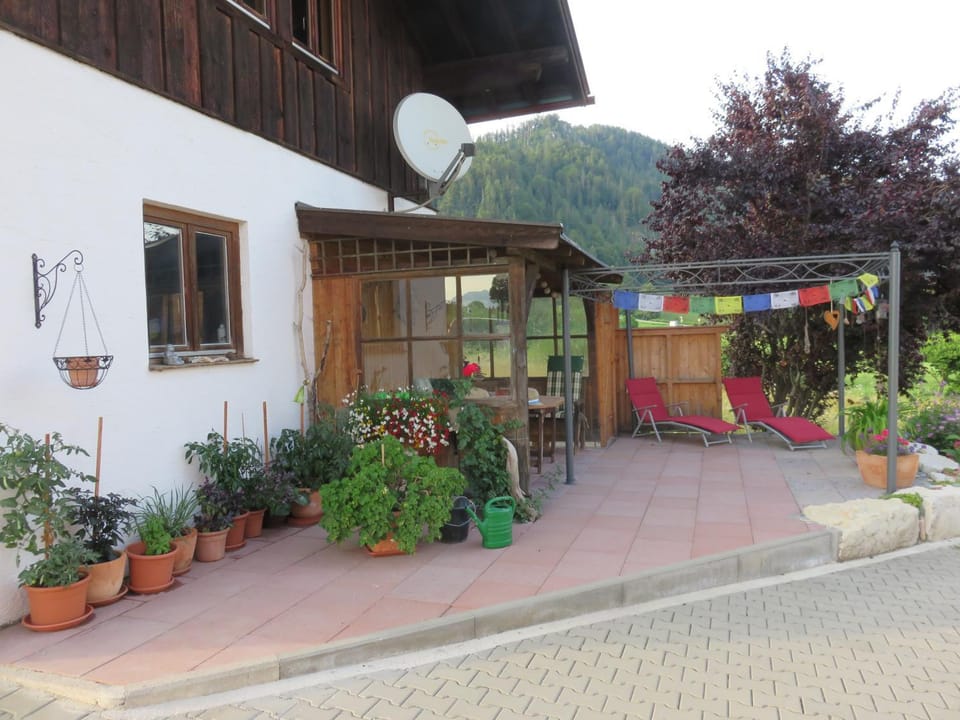 Property building, Patio, Garden view