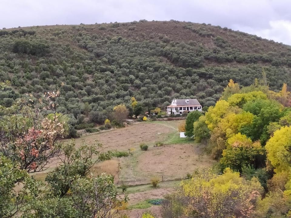 Natural landscape