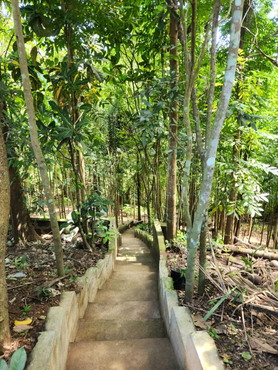 Hiking