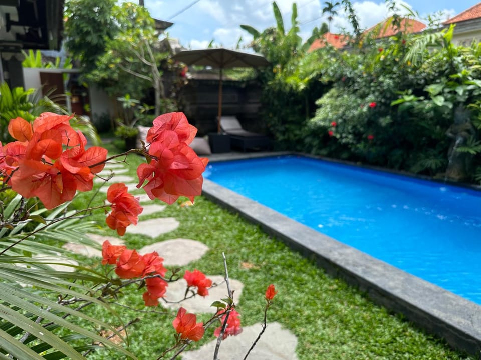 Garden, Swimming pool