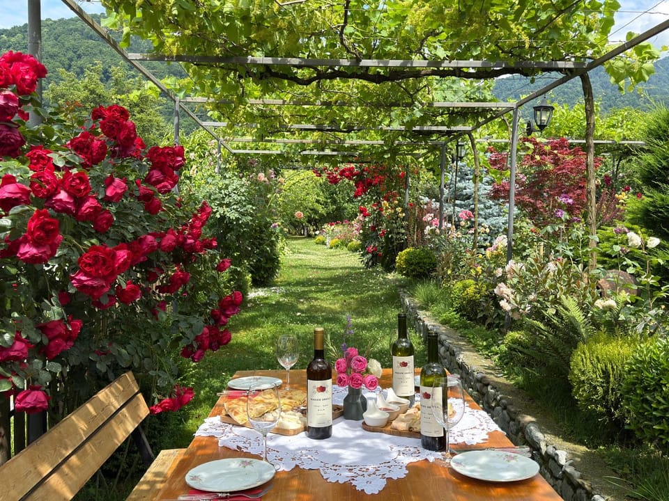Guest House Gardenia & Wine Cellar Bed and Breakfast in Georgia