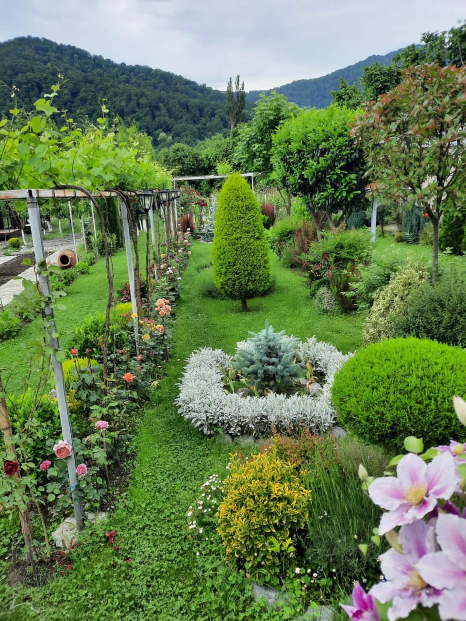 Guest House Gardenia & Wine Cellar Bed and Breakfast in Georgia
