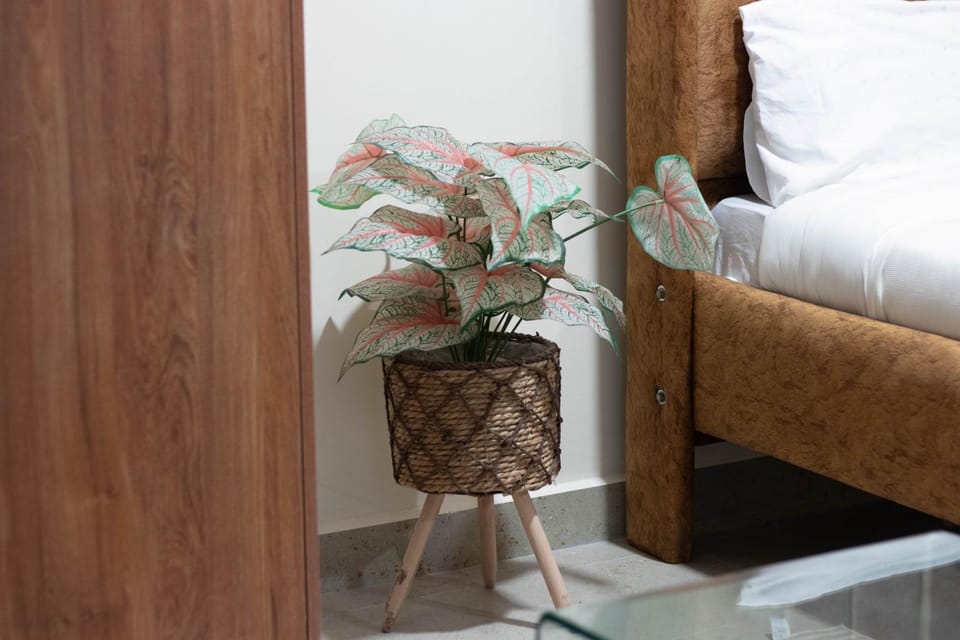 Rustic Studio in CBD with free WI-FI Apartment in Kenya