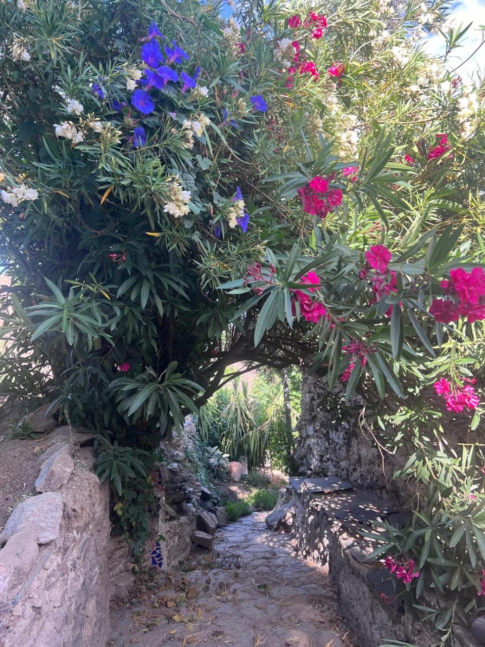 Garden, Garden view