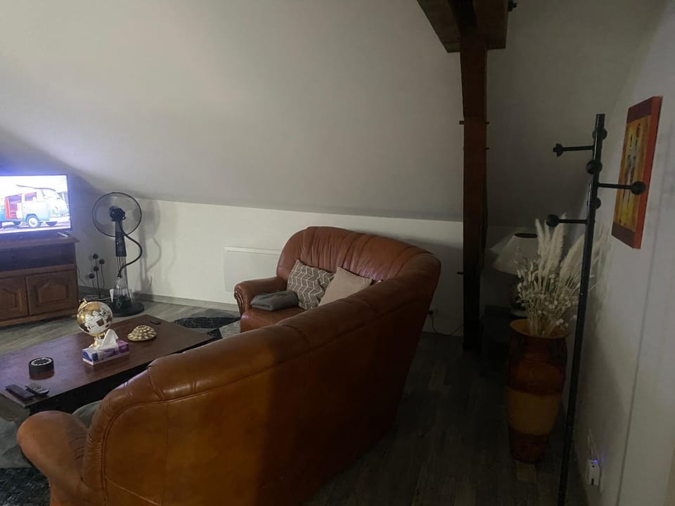 Le Barbès Apartment in Bourgogne-Franche-Comté