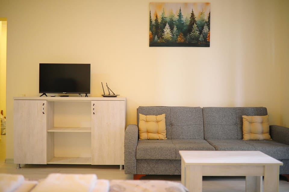 Communal lounge/ TV room, TV and multimedia