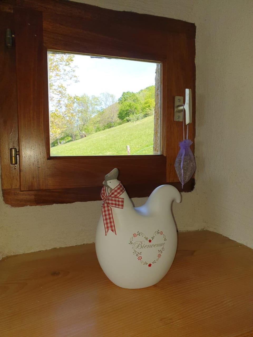Magnifique Gite de charme House in Haute-Savoie