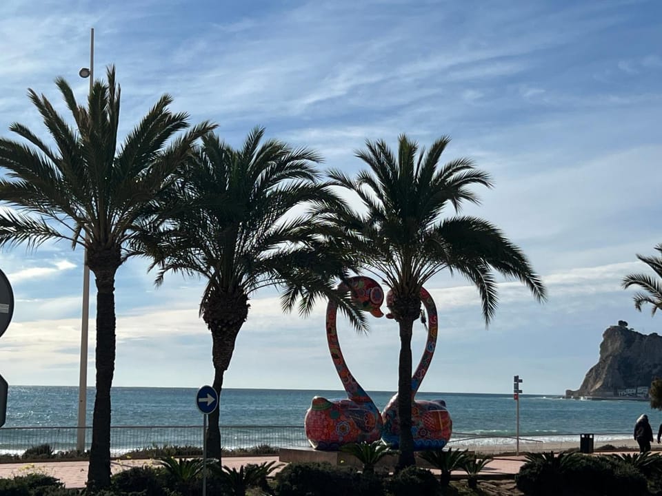 Nearby landmark, Natural landscape, Beach, Evening entertainment, Sea view, sunbed