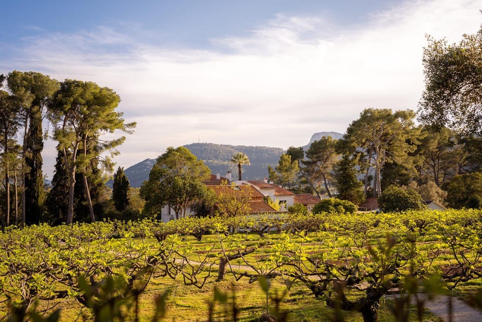 Le Castel, La chambre La Goutte d Or Bed and Breakfast in French Riviera