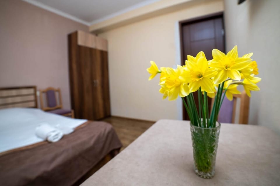 Guest House Kavkasioni 33 Bed and Breakfast in Georgia