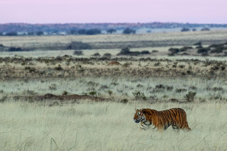 Kishindo Tiger Canyon Private Game Reserve Nature lodge in Eastern Cape