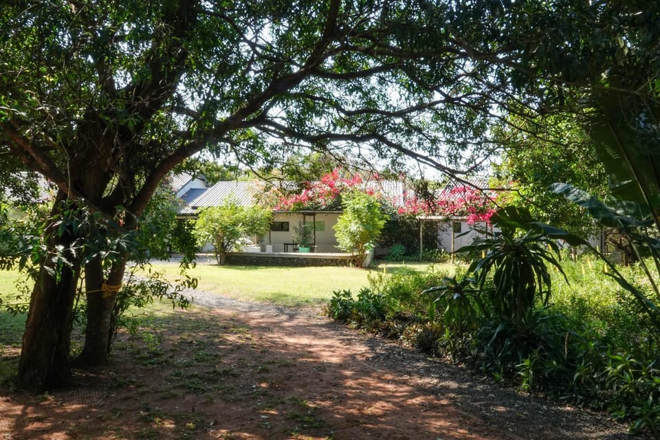 Property building, Garden