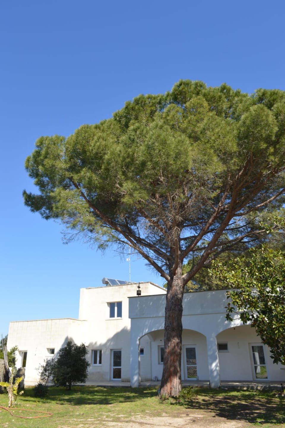 Property building, Natural landscape