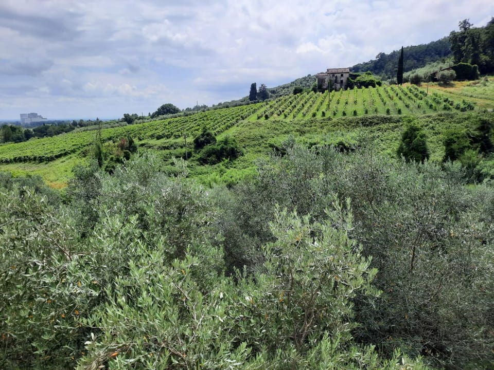 Casa vacanze colline lucchesi Apartment in Capannori