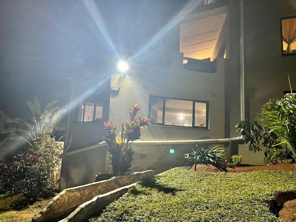 Property building, Night, Garden